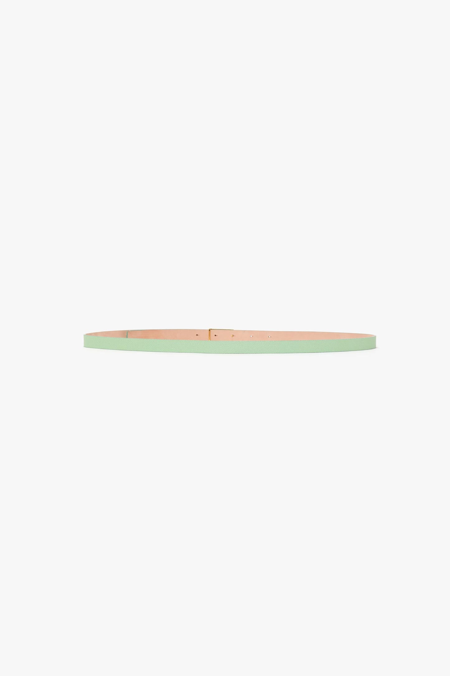 Micro Frame Belt In Jade Grained Leather